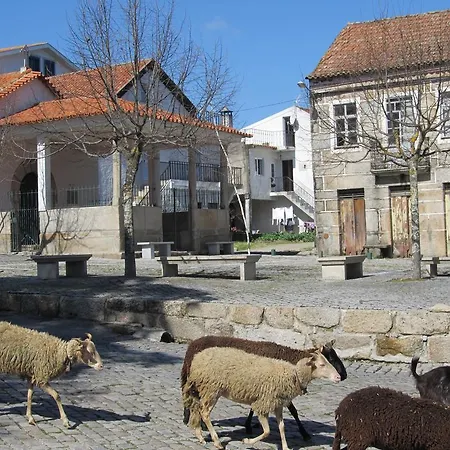 Casa D'avo *